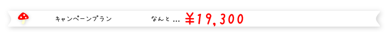 キャンペーンプラン