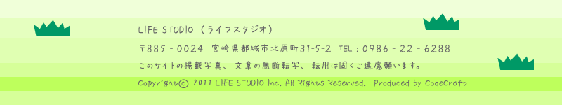 LIFE STUDIO（ライフスタジオ）
					 〒８８５−００３３  宮崎県都城市北原町31-5-2  TEL：０９８６ - ２２ - ６２８８
					 このサイトの掲載写真、文章の無断転写、転用は固くご遠慮願います。
					 Copyright © 2011 LIFE STUDIO Inc. All Rights Reserved.Produced by CodeCraft